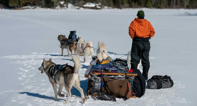 Sled dogs, a musher and a sled appear in a snowy landscape. 